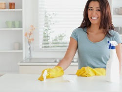 Amazing Domestic Cleaning Agency in Brent, NW1