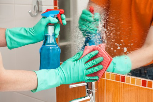 Professional pet stain odour removal service in a Brent home