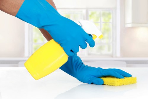 Professional move in cleaning for a Brent flat with fresh, empty rooms