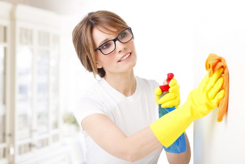 Detailed kitchen cleaning during a move in clean in Brent