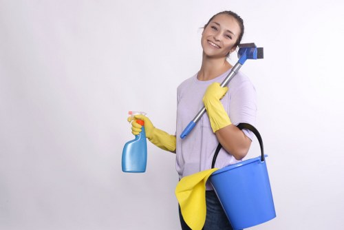 Low-carbon van used for carpet cleaning across Brent