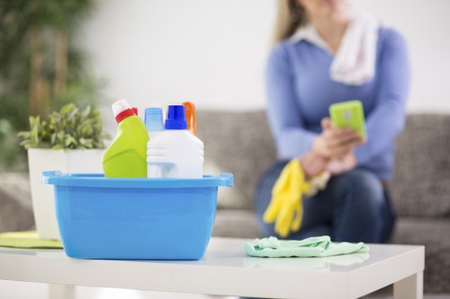 Brent carpet cleaning team values and mission for homes and businesses