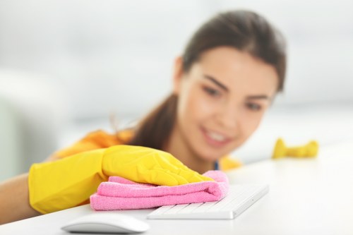 Cleaner treating high-traffic carpet areas in a Brent household or flat