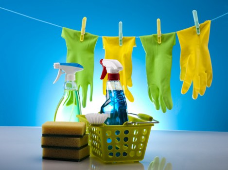 Deep carpet cleaning equipment used in Brent property
