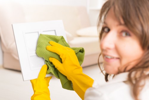 Professional gutter cleaning and downpipe clearance in Brent
